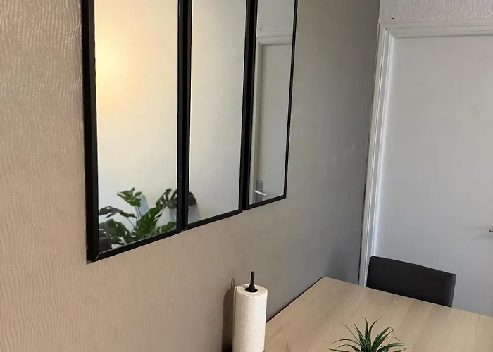 Prestigieux Et Lumineux Proche Centre * Troyes